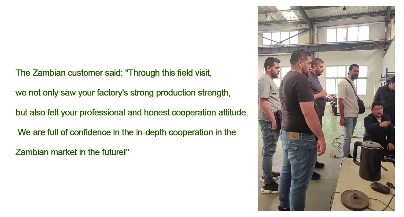 Zambian Customers Visit Us 3 YZ30-4F arm-type concrete laser leveling machine with cab