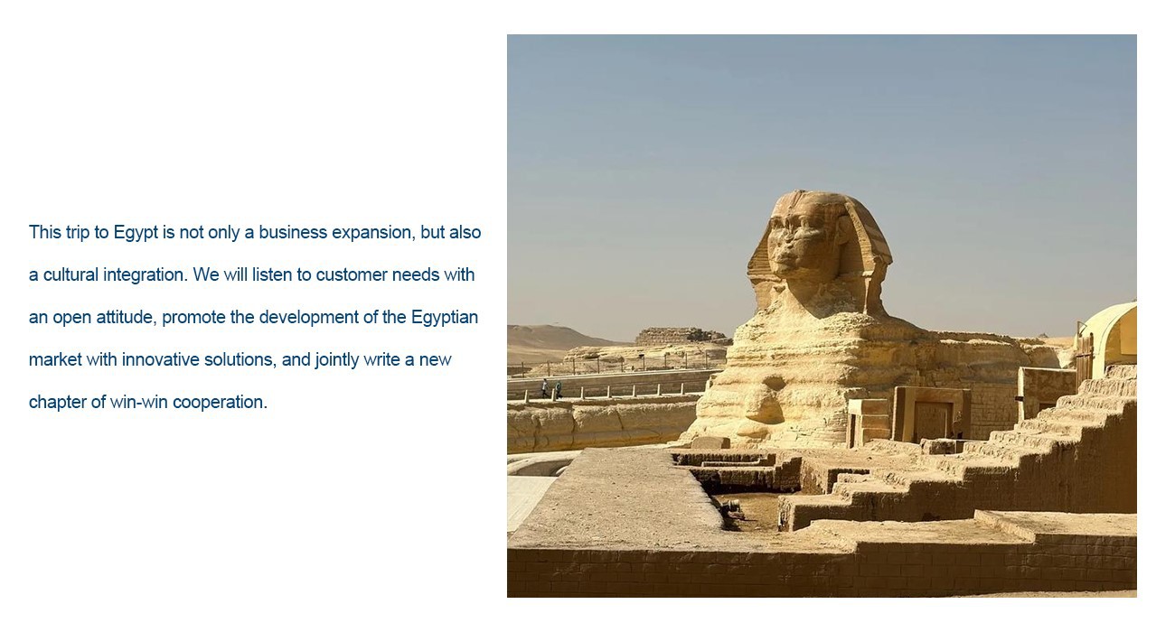 Shandong Vanse Machinery Heads To Egypt For Client Visits, Showcasing Advanced Construction Equipment 3 Egyptian market