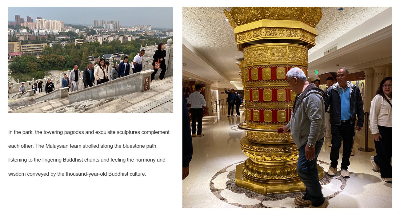 Malaysian Delegation Visited The Xinglong Cultural Park in Yanzhou 4 DZ30-2 Walk-Behind Concrete Laser Leveling Machine