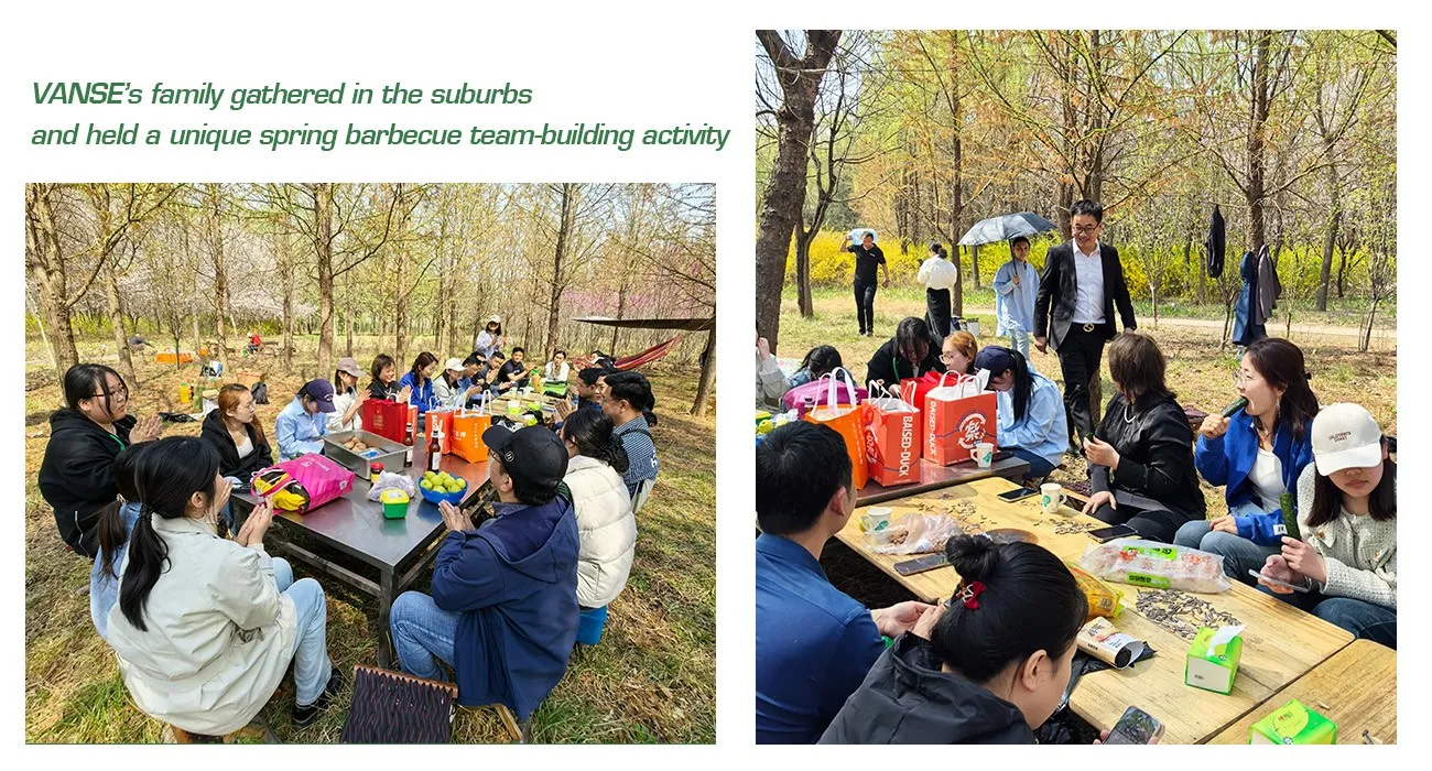 Gathering in Spring,moving Forward Together| VANSE Team Building Trip 2 news-1300-700