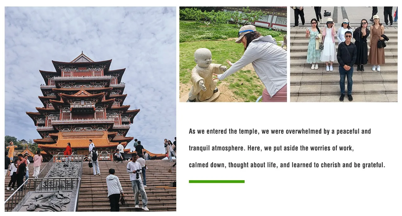 Xuzhou Team Building 4 Walk-Behind Concrete Laser Leveling Machine